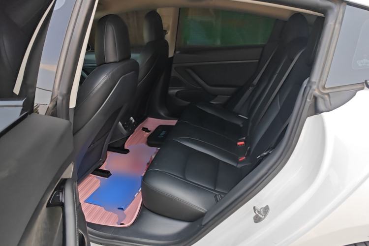 Used Tesla Model 3 2019 Standard Range Rear-Drive Upgraded Version Left Rear Seat