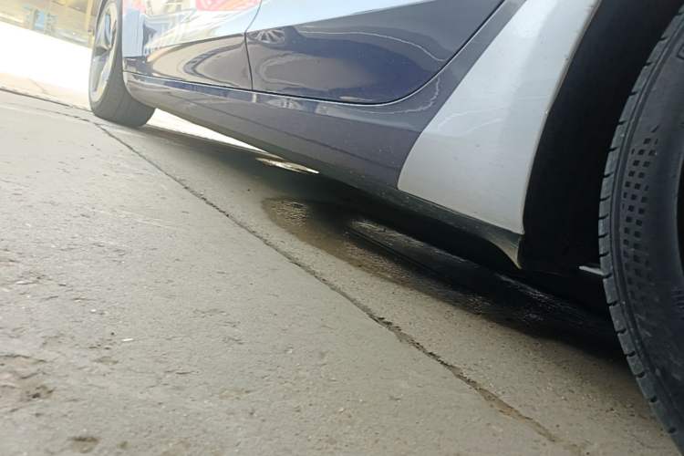 Used Tesla Model 3 2019 Long-Range Rear-Wheel-Drive Version Left Side Sill
