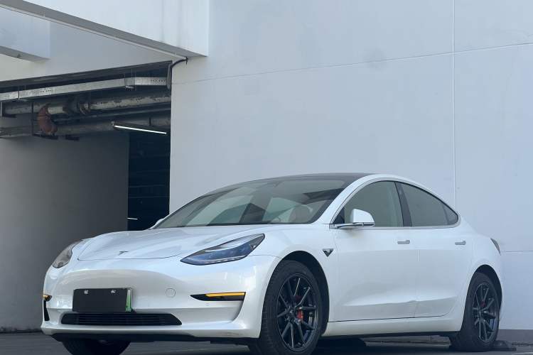 Used Tesla Model 3 2019 Standard Range Rear-Wheel Drive Upgraded Version (60 kWh) Left Side