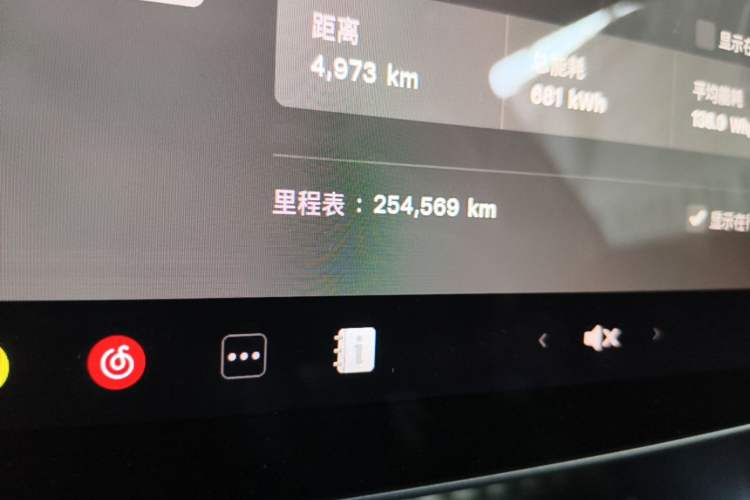 Used Tesla Model 3 2019 Standard Range Rear-Wheel Drive Upgraded Version (52 kWh) Odometer Close Up