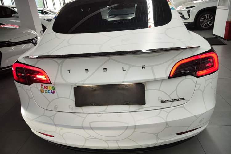 Used Tesla Model 3 2019 Long-Range All-Wheel-Drive Version Rear