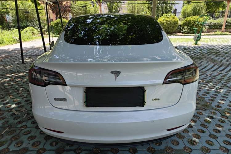 Used Tesla Model 3 2019 Standard Range Rear-Drive Upgraded Version Rear