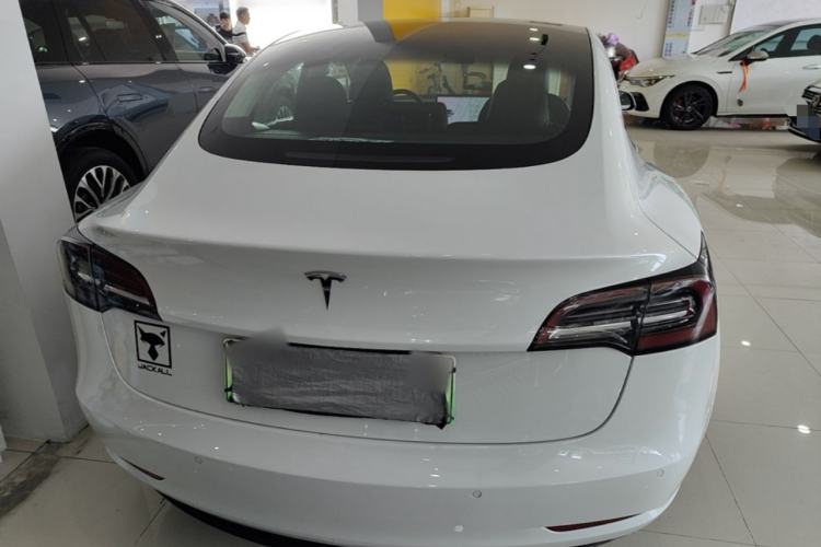 Used Tesla Model 3 2019 Standard Range Rear-Wheel Drive Upgraded Version (60 kWh) Rear