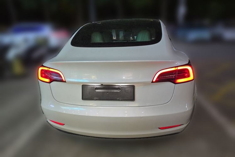 Used Tesla Model 3 2019 Standard Range Rear-Wheel Drive Upgraded Version (60 kWh) Rear