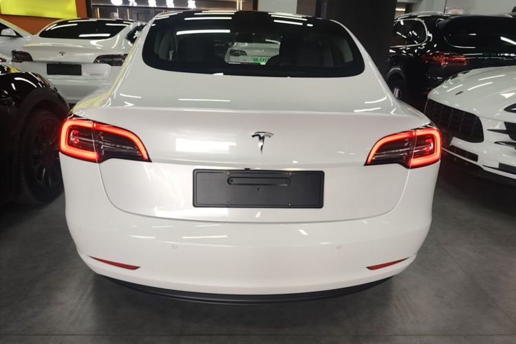 Used Tesla Model 3 2019 Standard Range Rear-Wheel Drive Upgraded Version (52 kWh) Rear