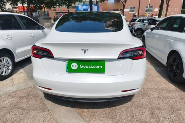 Used Tesla Model 3 2019 Standard Range Rear-Wheel Drive Upgraded Version (60 kWh) Rear