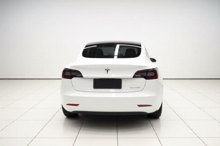 Used Tesla Model 3 2019 Long-Range All-Wheel-Drive Version Rear