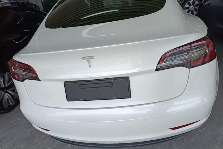 Used Tesla Model 3 2019 Standard Range Rear-Wheel Drive Upgraded Version (60 kWh) Rear