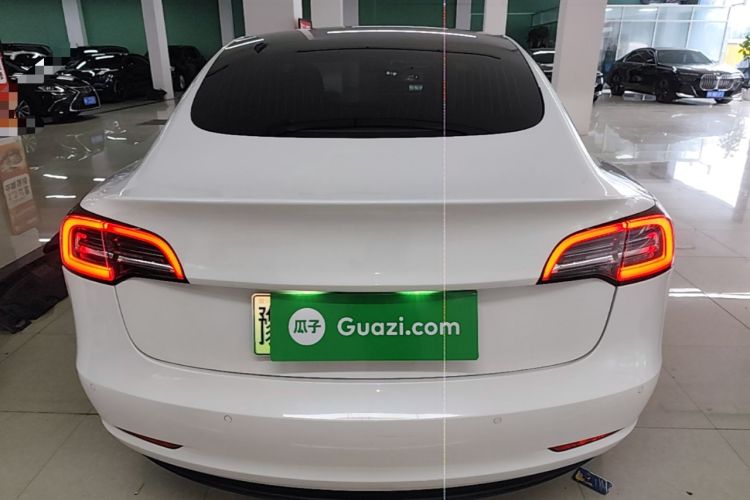 Used Tesla Model 3 2019 Standard Range Rear-Wheel Drive Upgraded Version (52 kWh) Rear