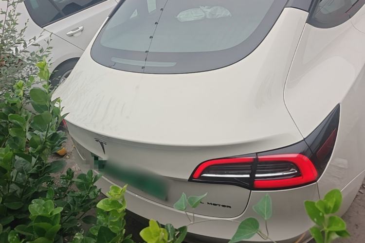 Used Tesla Model 3 2019 Long-Range All-Wheel-Drive Version Rear