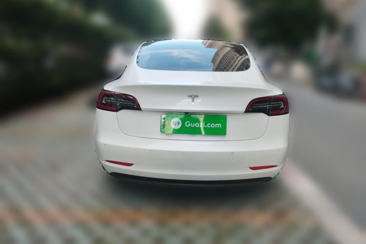 Used Tesla Model 3 2019 Long-Range Rear-Wheel-Drive Version Rear