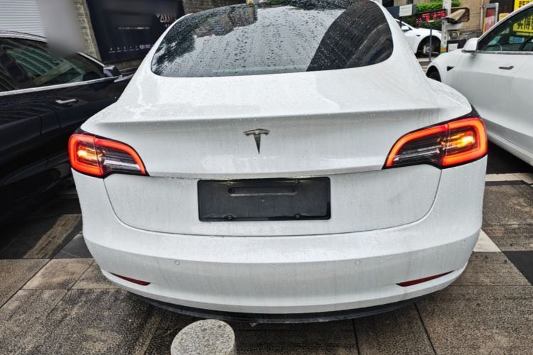 Used Tesla Model 3 2019 Long-Range All-Wheel-Drive Version Rear
