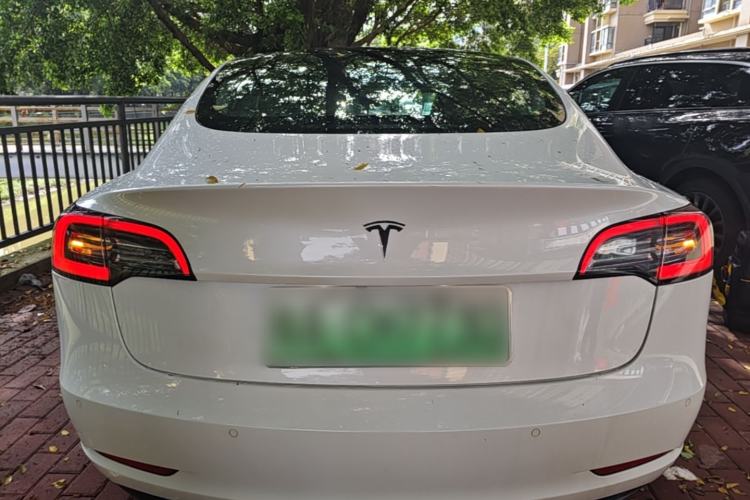 Used Tesla Model 3 2019 Long-Range Rear-Wheel-Drive Version Rear