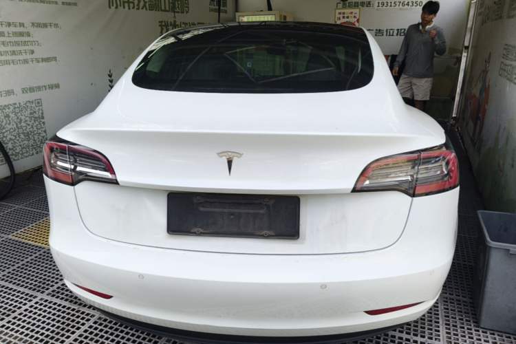 Used Tesla Model 3 2019 Standard Range Rear-Wheel Drive Upgraded Version (52 kWh) Rear