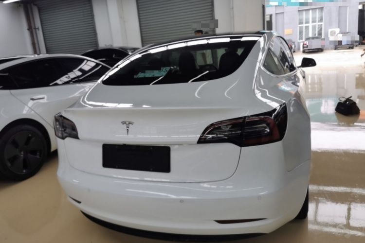 Used Tesla Model 3 2019 Standard Range Rear-Wheel Drive Upgraded Version (52 kWh) Rear