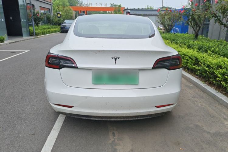 Used Tesla Model 3 2019 Standard Range Rear-Wheel Drive Upgraded Version (60 kWh) Rear