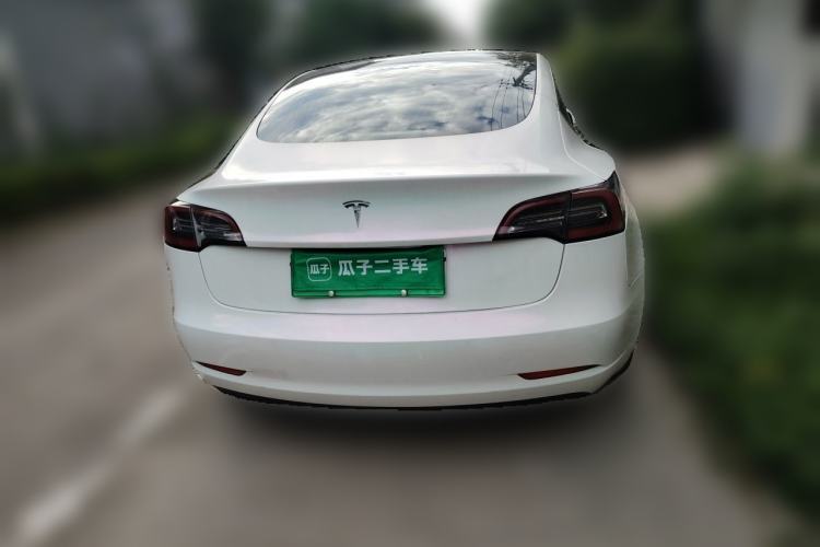 Used Tesla Model 3 2019 Long-Range All-Wheel-Drive Version Rear