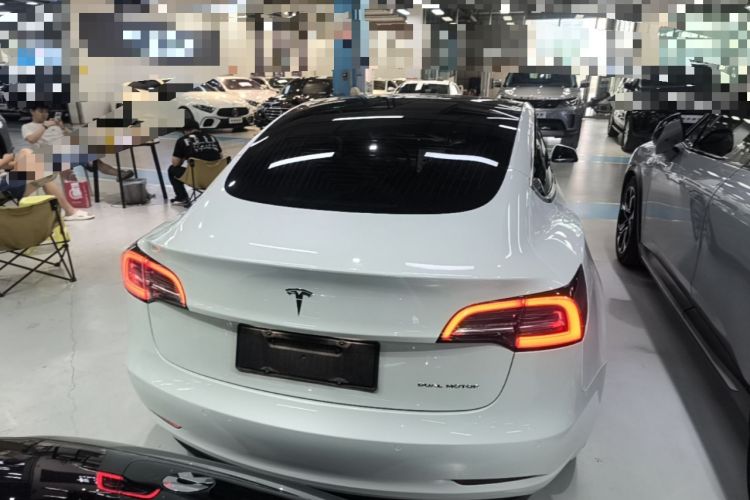 Used Tesla Model 3 2019 Long-Range All-Wheel-Drive Version Rear