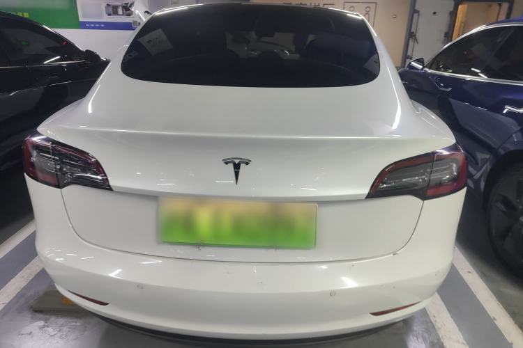 Used Tesla Model 3 2019 Standard Range Rear-Wheel Drive Upgraded Version (60 kWh) Rear