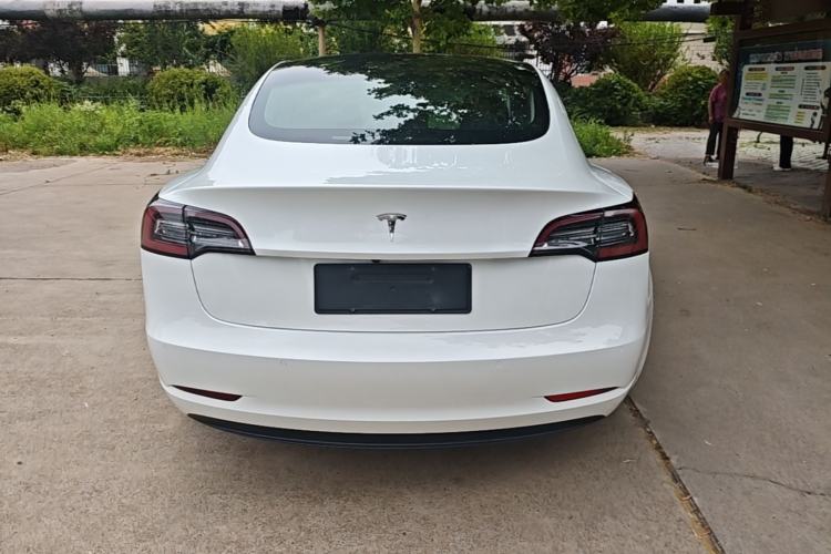 Used Tesla Model 3 2019 Standard Range Rear-Wheel Drive Upgraded Version (52 kWh) Rear