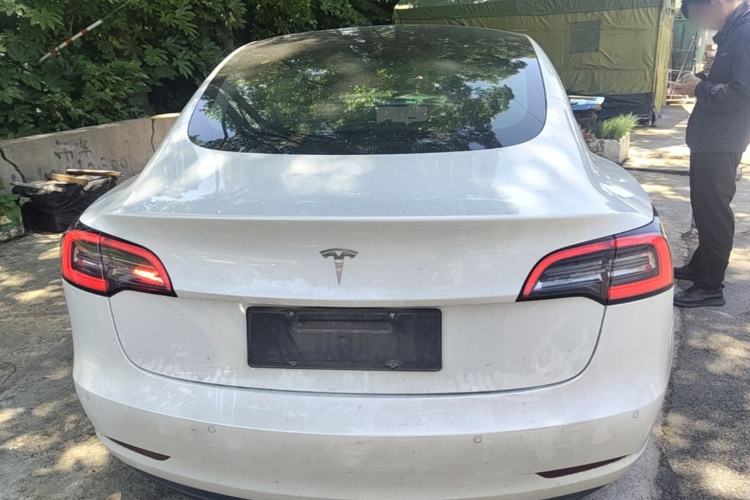Used Tesla Model 3 2019 Standard Range Rear-Wheel Drive Upgraded Version (52 kWh) Rear