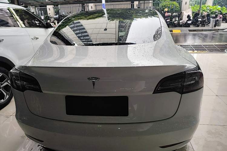 Used Tesla Model 3 2019 Standard Range Rear-Wheel Drive Upgraded Version (52 kWh) Rear