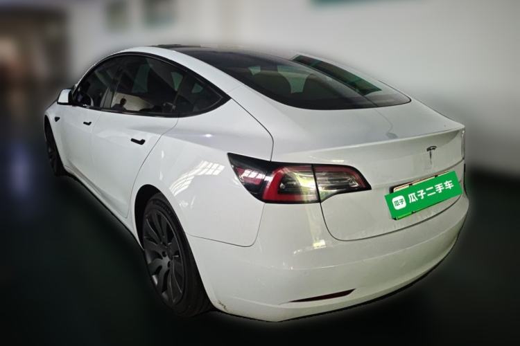 Used Tesla Model 3 2019 Long-Range All-Wheel-Drive Version Rear Left 45 Deg
