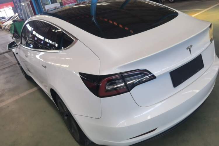 Used Tesla Model 3 2019 Standard Range Rear-Wheel Drive Upgraded Version (60 kWh) Rear Left 45 Deg