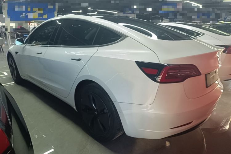 Used Tesla Model 3 2019 Standard Range Rear-Wheel Drive Upgraded Version (52 kWh) Rear Left 45 Deg
