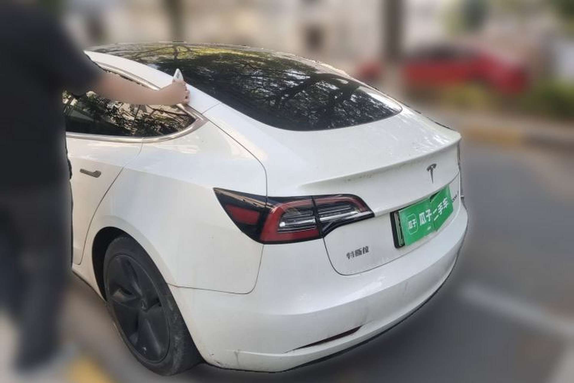 Used Tesla Model 3 2019 Standard Range Rear-Drive Upgraded Version Rear Left 45 Deg