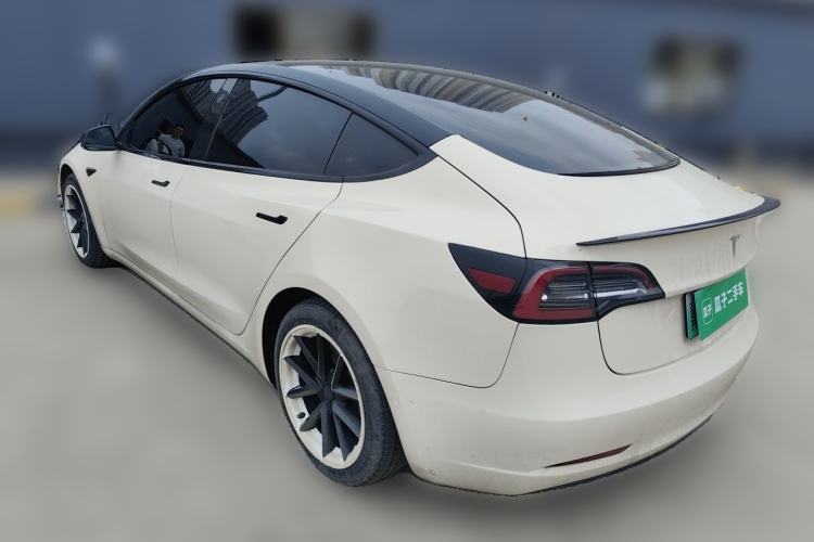 Used Tesla Model 3 2019 Long-Range All-Wheel-Drive Version Rear Left 45 Deg