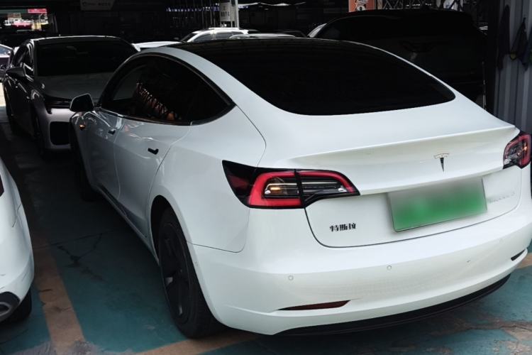 Used Tesla Model 3 2019 Standard Range Rear-Drive Upgraded Version Rear Left 45 Deg