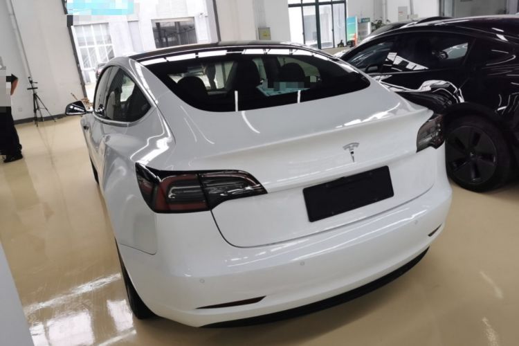 Used Tesla Model 3 2019 Standard Range Rear-Wheel Drive Upgraded Version (52 kWh) Rear Left 45 Deg