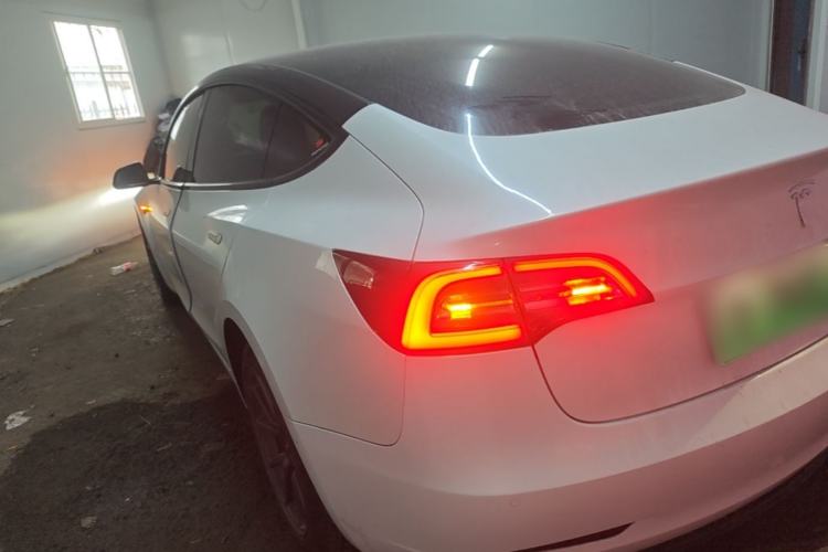 Used Tesla Model 3 2019 Standard Range Rear-Drive Upgraded Version Rear Left 45 Deg
