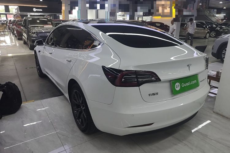 Used Tesla Model 3 2019 Standard Range Rear-Drive Upgraded Version Rear Left 45 Deg