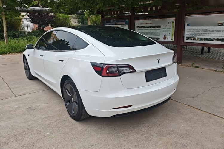 Used Tesla Model 3 2019 Standard Range Rear-Wheel Drive Upgraded Version (52 kWh) Rear Left 45 Deg