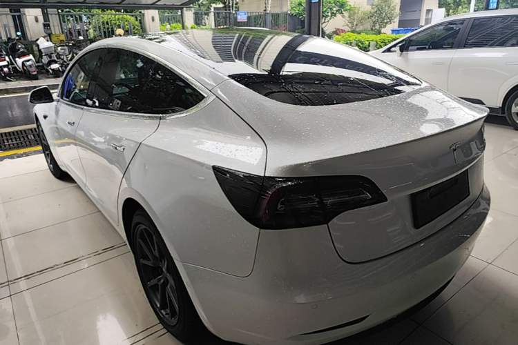 Used Tesla Model 3 2019 Standard Range Rear-Wheel Drive Upgraded Version (52 kWh) Rear Left 45 Deg