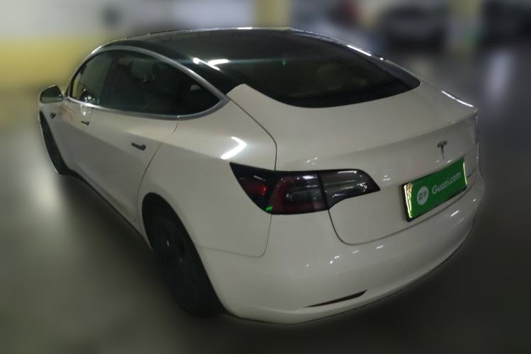 Used Tesla Model 3 2019 Long-Range All-Wheel-Drive Version Rear Left 45 Deg