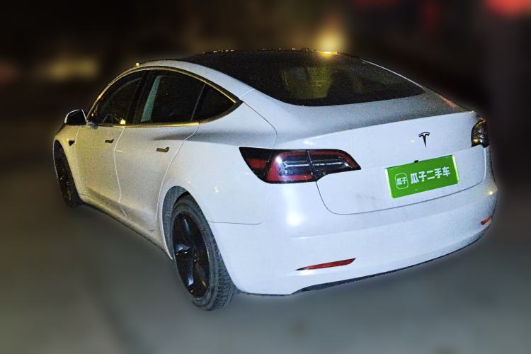 Used Tesla Model 3 2019 Standard Range Rear-Wheel Drive Upgraded Version (52 kWh) Rear Left 45 Deg