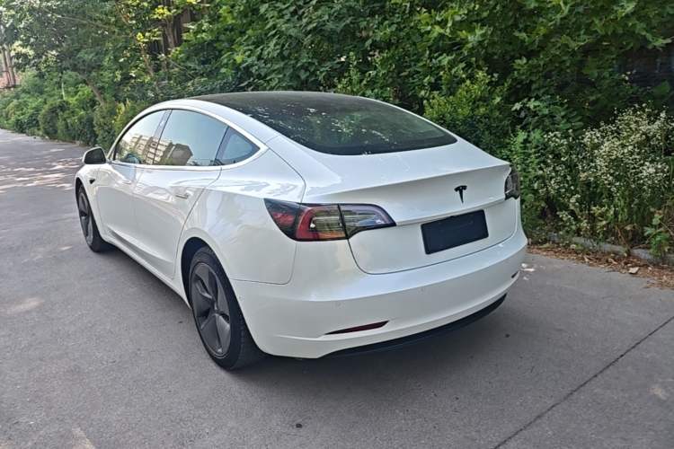 Used Tesla Model 3 2019 Standard Range Rear-Wheel Drive Upgraded Version (52 kWh) Rear Left 45 Deg