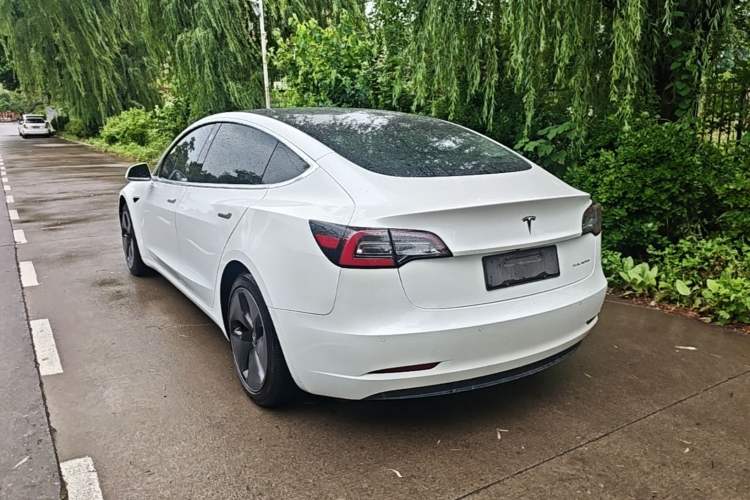 Used Tesla Model 3 2019 Long-Range All-Wheel-Drive Version Rear Left 45 Deg