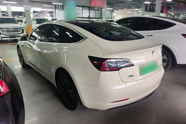 Used Tesla Model 3 2019 Standard Range Rear-Drive Upgraded Version Rear Left 45 Deg