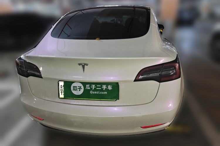 Used Tesla Model 3 2019 Standard Range Rear-Wheel Drive Upgraded Version (60 kWh) Rear