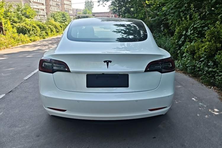 Used Tesla Model 3 2019 Standard Range Rear-Wheel Drive Upgraded Version (52 kWh) Rear