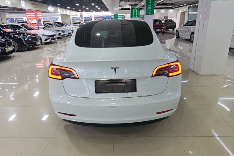 Used Tesla Model 3 2019 Standard Range Rear-Wheel Drive Upgraded Version (60 kWh) Rear