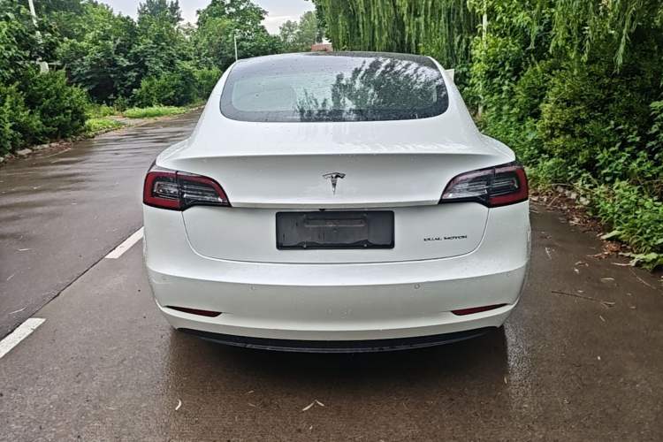 Used Tesla Model 3 2019 Long-Range All-Wheel-Drive Version Rear