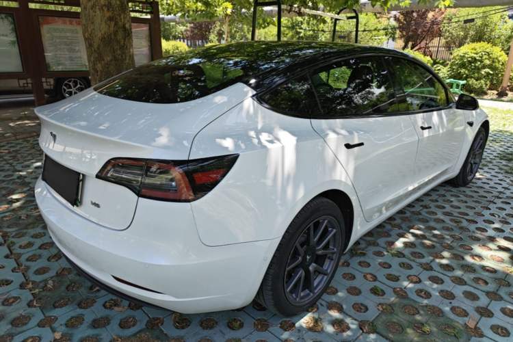 Used Tesla Model 3 2019 Standard Range Rear-Drive Upgraded Version Rear Right 45 Deg