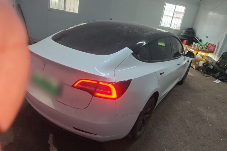 Used Tesla Model 3 2019 Standard Range Rear-Drive Upgraded Version Rear Right 45 Deg