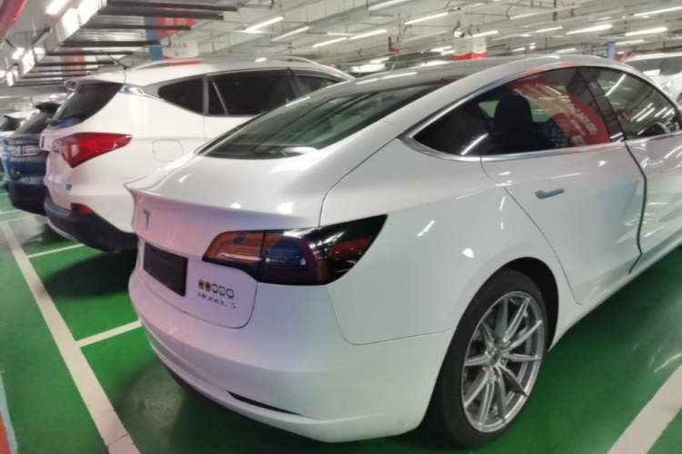 Used Tesla Model 3 2019 Standard Range Rear-Drive Upgraded Version Rear Right 45 Deg