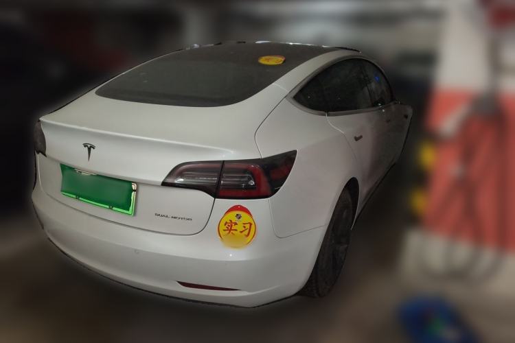 Used Tesla Model 3 2019 Long-Range All-Wheel-Drive Version Rear Right 45 Deg